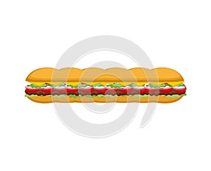 French sandwich isolated. Long baguette Burger from France.