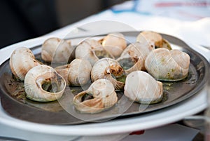 French snail dinner