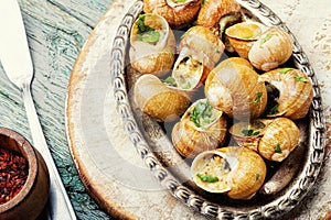 French snail dish