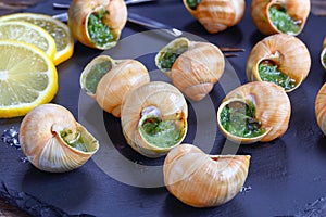 French Snails with herbs, butter, garlic