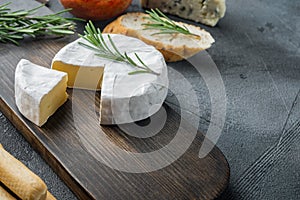 French soft camembert of normandy cheese, on gray background  with copy space for text