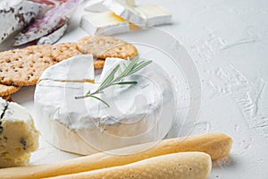 French soft camembert of normandy cheese, on white background  with copy space for text