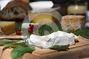French soft cheese(fromage), currants(groseilles) french bread (pain) and mustard (moutarde) from Rhone-Alps region of France