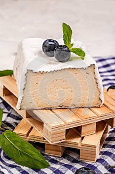 French soft cheese with white mold served with blueberries, closeup. concept of french cuisine