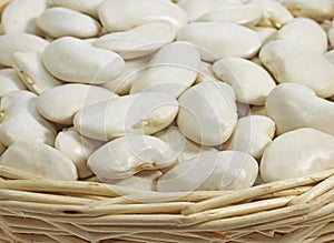 French Soissons Beans, phaseolus vulgaris