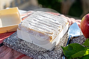 French squared pont l`eveque cow cheese from Calvados department, Pont l`eveque village, Normandy, France