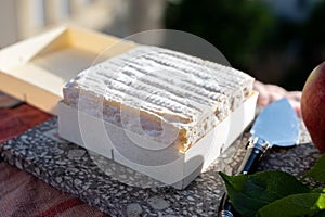 French squared pont l`eveque cow cheese from Calvados department, Pont l`eveque village, Normandy, France