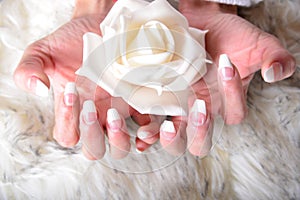 French style fingernails with white rose