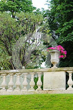 French style garden, Jardin du Luxembourg