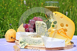 French and swiss cheese with fruits and wine