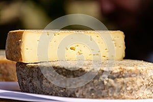 Francés tommy queso 