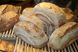 French traditional breads in bakery