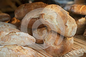 French traditional breads in bakery