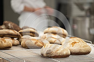French traditional breads close-up