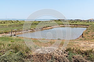 French traditional fields salt marsh in the Ile de Noirmoutier France Europe