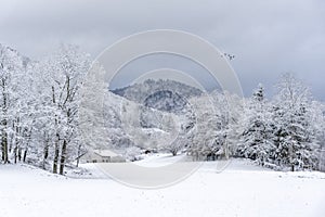 Francés municipio la nieve 