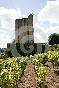 French village Saint Emilion dominated by Tour du Roy