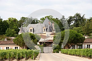 French vineyard chateau