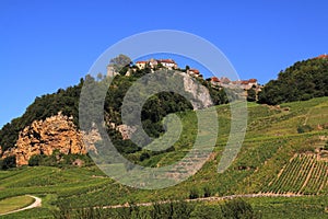 French vineyard in the jura region