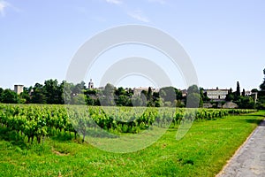 French vineyards landscape of Saint Emilion bordeaux wine in France