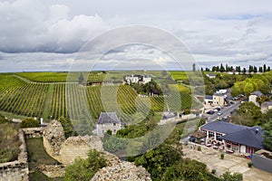 French vineyards and town