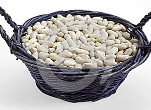 French White Kidney Beans or Mogette From Vendee, phaseolus vulgaris