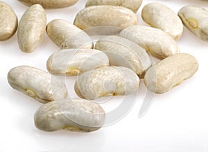 French White Kidney Beans or Mogette From Vendee, phaseolus vulgaris