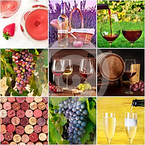 French Wine Collage. Many photos of grapes, wine glasses, barrels, corks etc