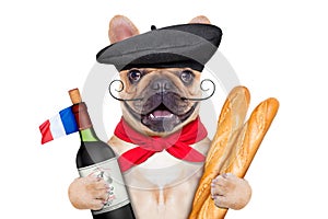 French wine dog