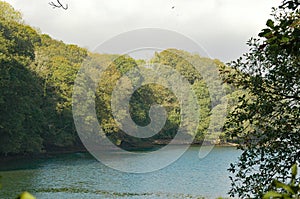 Frenchmans Creek near Helford, The Lizard, Cornwall, England, UK photo