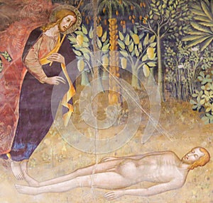 Fresco in San Gimignano - Creation of Adam
