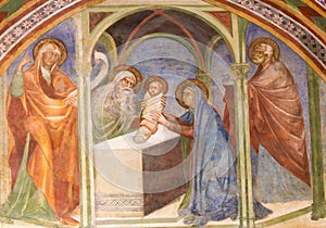 Fresco in San Gimignano - The Presentation at the Temple