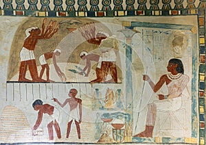 Fresco, upper register northern portion East wall, Nakht`s tomb TT52 in the Theban Necropolis near Luxor, Egypt.