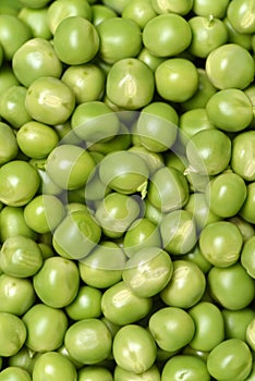 Frescoes green green peas and freshly reaped