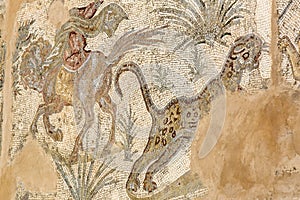 Frescoes on the ruins of Carthage