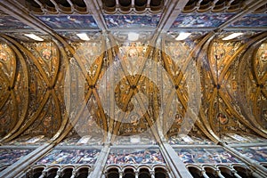 Frescoes on the Vault of the Parma Cathedral