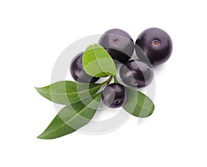 Fresh acai berries with leaves isolated, top view