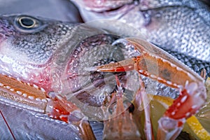 Fresh Adriatic seafood on ice