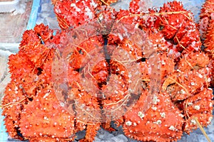 Fresh alaska king crab