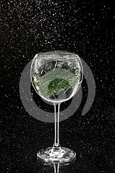 Fresh alcoholic cocktail with vodka, gin, ice, fennel in wineglass on black background. Studio shot of drink in freeze motion,