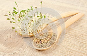 Fresh alfalfa sprouts and seeds - closeup.