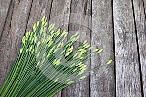 Fresh Allium tuberosum vegetables on wood background