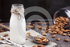 Fresh Almond Milk with Fresh Almonds