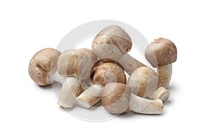 Fresh Almond mushrooms