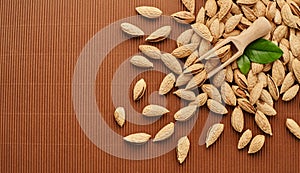 Fresh almond nut close-up