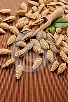 Fresh almond nut close-up