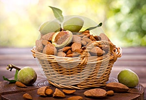 Fresh almonds in the basket