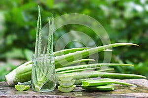 fresh aloe vera leaf slice in glass on stone