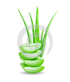 Fresh Aloe vera slice isolated on white background