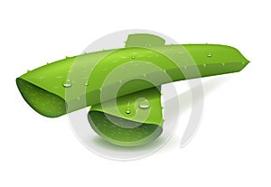 Fresh Aloe Vera Sliced Isolated White Background